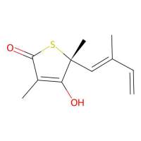 4-Hydroxy-3,5-Dimethyl-5-(2-Methyl-Buta-1,3-Dienyl)-5h-Thiophen-2-One，82079-32-1，阿拉丁