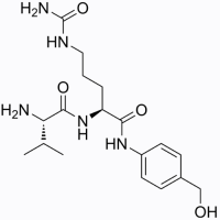 Val-cit-PAB-OH,159857-79-1,阿拉丁