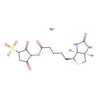 Sulphosuccinimido biotin,194041-65-1,阿拉丁