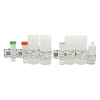 三色多重荧光染色试剂盒（抗兔二抗），BioReagent, 适用于免疫荧光(IF), 适用于免疫组织化学(for IHC)，阿拉丁