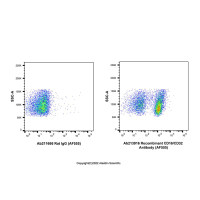 Recombinant CD16/CD32 Antibody (AF555)，ExactAb™, 已验证, 重组, 0.5mg/mL，阿拉丁