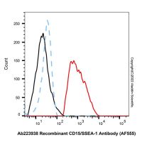 Recombinant CD15/SSEA-1 Antibody (AF555)，ExactAb™, 已验证, 重组, 5 μL/test，阿拉丁