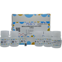 磁珠法动物病毒DNA/RNA提取试剂盒，BioReagent, for DNA and RNA applications，阿拉丁