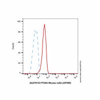 PCNA Mouse mAb (AF555)，ExactAb™, 已验证, 0.5 mg/mL，阿拉丁
