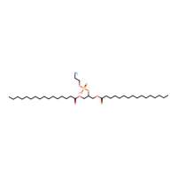 1,3-Dipalmitoyl-glycero-2-phosphoethanolamine,67303-93-9,阿拉丁