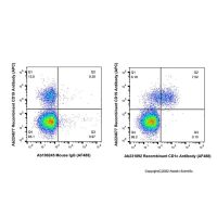 Recombinant CD1c Antibody (AF488),ExactAb™,已验证,重组,5 μL/test,阿拉丁