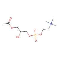 溶血磷脂酰胆碱 来自非转基因大豆，9008-30-4，天然, ≥80%, ≤20% phosphatidylcholine，阿拉丁