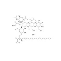 Ganglioside GM1 (bovine) (ammonium),1007119-81-4,Moligand™,≥98%,阿拉丁