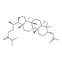 24-Methylenecycloartanol acetate,1259-94-5,≥93%,阿拉丁