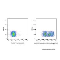 Recombinant CD24 Antibody (AF647),重组,ExactAb™,已验证,0.5 mg/mL,阿拉丁