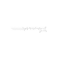 DOTA-tris(acid)-amido-PEG24-amido-PEG24-DSPE,阿拉丁