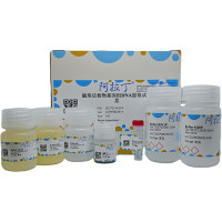 磁珠法植物基因组DNA提取试剂盒,BioReagent, for DNA and RNA applications,阿拉丁