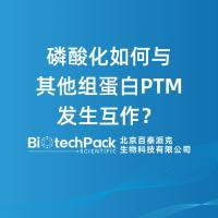 磷酸化如何与其他组蛋白PTM发生互作？