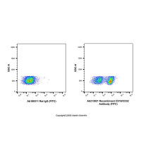 Recombinant CD16/CD32 Antibody (FITC)，ExactAb™, 已验证, 重组, 0.5mg/mL，阿拉丁