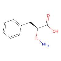 L-2-Aminooxy-3-phenylpropanoic acid，≥99%，阿拉丁