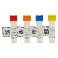 EZ-HiFi 无缝克隆试剂盒,BioReagent, 分子生物学级, 无菌,阿拉丁