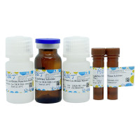 Bio-Nano & Firefly 双萤光素酶报告基因检测试剂盒，BioReagent, 用于化学发光，阿拉丁