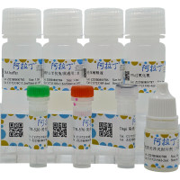 三色多重荧光染色试剂盒（鼠兔通用二抗），适用于免疫荧光(IF), BioReagent, 适用于免疫组织化学(for IHC)，阿拉丁