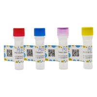 EZ-TA/Blunt 零背景 pTOPO II 克隆试剂盒,BioReagent, 分子生物学级, 无菌,阿拉丁
