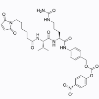 Mc-Val-Cit-PABC-PNP，159857-81-5，阿拉丁