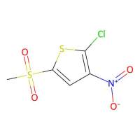 2-Chloro-5-methanesulfonyl-3-nitrothiophene,57800-77-8,≥95%,阿拉丁
