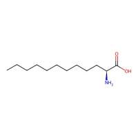 (S)-2-Aminododecanoic acid，169106-34-7，≥95%，阿拉丁