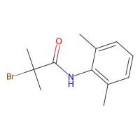 2-bromo-N-(2,6-dimethylphenyl)-2-methylpropanamide,23532-16-3,阿拉丁