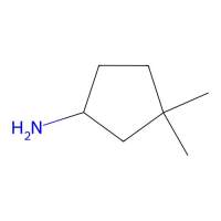 3,3-Dimethylcyclopentan-1-amine，207907-68-4，≥95%，阿拉丁