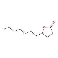 Gamma-undecalactone，104-67-6，Moligand™, 10 mM in DMSO，阿拉丁