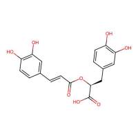 (S)-rosmarinic acid,537-15-5,阿拉丁