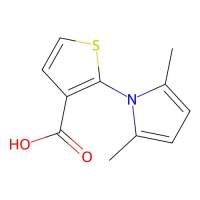 2-(2,5-Dimethyl-1H-pyrrol-1-yl)-3-thiophenecarboxylic acid，478077-98-4，≥95%，阿拉丁