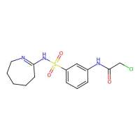 2-Chloro-N-[3-[[(3,4,5,6-tetrahydro-2H-azepin-7-yl)amino]sulfonyl]phenyl]acetamide，554404-37-4，≥98%，阿拉丁