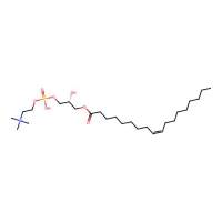 1-Oleoylglycerophosphocholine,≥99%, synthetic,阿拉丁