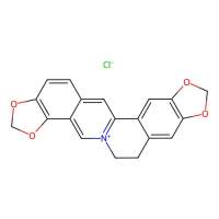 盐酸黄连碱，6020-18-4，Moligand™, 10 mM in DMSO，阿拉丁