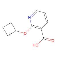 2-Cyclobutoxypyridine-3-carboxylic acid,1393330-47-6,≥97%,阿拉丁