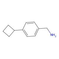 (4-Cyclobutylphenyl)methanamine,1553955-83-1,≥95%,阿拉丁