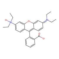 RhoNox-1,1447815-38-4,Moligand™, 10 mM in DMSO,阿拉丁