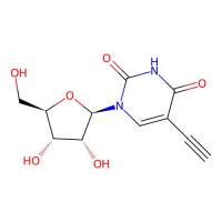 5-乙炔基尿苷，69075-42-9，Moligand™, 10 mM in DMSO，阿拉丁