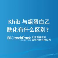 Khib 与组蛋白乙酰化有什么区别？