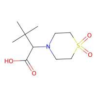 2-(1,1-Dioxo-1lambda~6~,4-thiazinan-4-yl)-3,3-dimethylbutanoic acid，338963-05-6，≥95%，阿拉丁