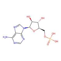 阿糖腺苷单磷酸,29984-33-6,Moligand™, 10 mM in DMSO,阿拉丁