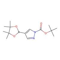 1-Boc-pyrazole-4-boronic acid pinacol ester，552846-17-0，Moligand™, 10 mM in DMSO，阿拉丁
