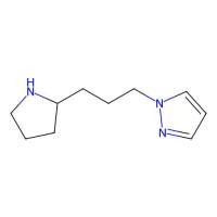1-[3-(pyrrolidin-2-yl)propyl]-1H-pyrazole，1170892-40-6，≥97%，阿拉丁
