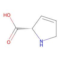 3,4-Dehydro-L-proline，4043-88-3，Moligand™, 10 mM in DMSO，阿拉丁