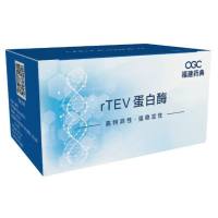 rTEV蛋白酶