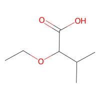 2-Ethoxy-3-methylbutanoic acid,850856-37-0,≥95%,阿拉丁