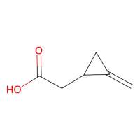 2-Methylenecyclopropaneacetic acid，1073-00-3，≥97%，阿拉丁