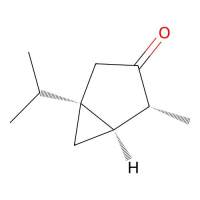 α-侧柏酮，546-80-5，Moligand™, 10 mM in DMSO，阿拉丁
