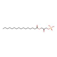 1-Palmitoylglycerone 3-phosphate,17378-38-0,阿拉丁