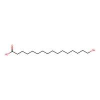 16-羟基十六烷酸，506-13-8，Moligand™, 10 mM in DMSO，阿拉丁